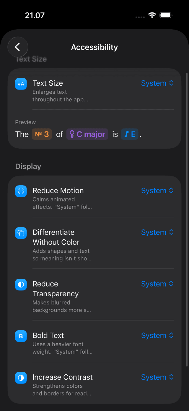 Settings → Accessibility panel on iPhone showing the System / On / Off pickers for each dimension.